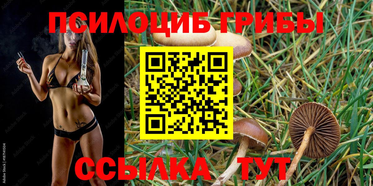 Псилоцибиновые грибы ЛСД Саров