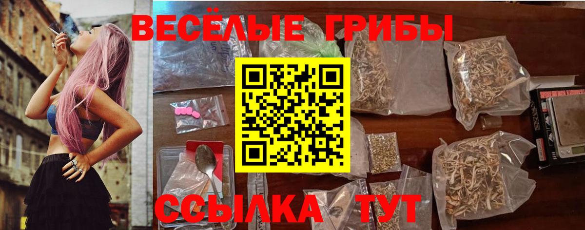Псилоцибиновые грибы Psilocybine cubensis  Вход с VPN  где купить наркоту  Саров 
